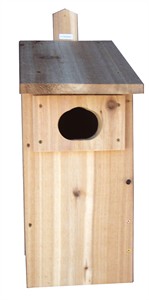 Stovall Duck Box