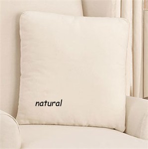 Surefit 17x17 Cotton Duck Throw Pillow