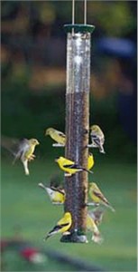 Droll Yankees New Generation 23" Thistle Feeder Droll Yankees New Generation 23" Thistle Feeder
