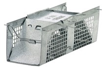 Rodent, Mice Trap #0 Rodent, Mice Trap #0