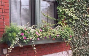 Flower Framer 5' Fiberglass Window Box 