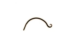 Hookery A19 - 12" Curved Plant Hanger Hookery A19 - 12" Curved Plant Hanger