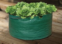 Bosmere Salad Planter Bag