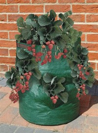 Bosmere Strawberry Planter Bag Bosmere Strawberry Planter Bag