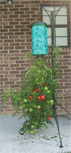Topsy Turvy Planter