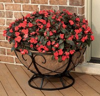 Cobraco Round Floor Planter Cobraco Round Floor Planter