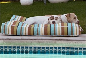 Animals Matter Luxury Outdoor Pet Bed