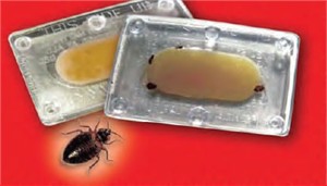 Bed Bug Alert Monitor 
