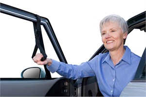 CarCaddie for Help In and Out of Vehicles CarCaddie for Help In and Out of Vehicles