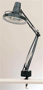 Lite Source LSC-161 Clamp on Desk Lamp 
