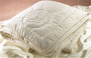 Silk Filled Comforter Silk Filled Comforter