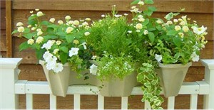 Self Watering Deck Rail Planter