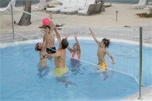 Dunn Rite Stainless DeckVolly Deck Volleyball