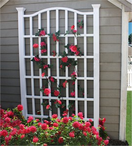 Eden VA68200 Grande Trellis