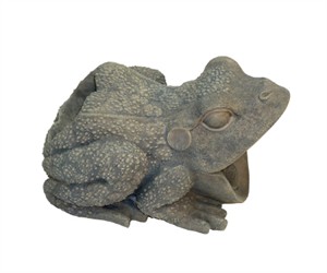 Frog Downspout Frog Downspout