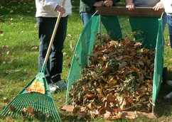 Amazing Leaf Cart for removing autumn leaves