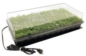 Germination Station