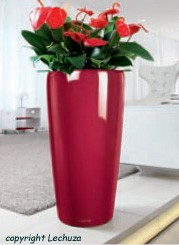Lechuza Rondo Self Watering Planter
