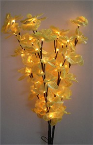 Lighted Orchid Blossoms