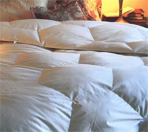 Pearl Crescent Hypodown 800 Light Comforter