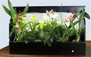Indoor Garden Plantlight
