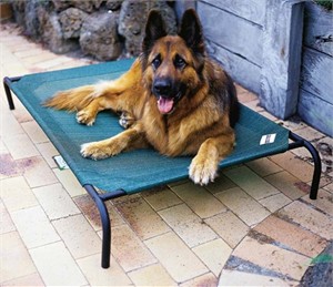 Coolaroo Pet Bed (42" x 30")