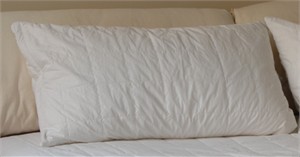 SMARTSILK Pillow Protector