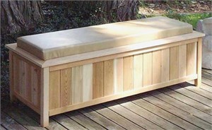 Storage Bench with Cushion Top 