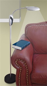 Deluxe Cordless Battery Powered Floor Lamp